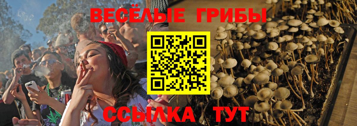 Псилоцибиновые грибы MAGIC MUSHROOMS Кропоткин
