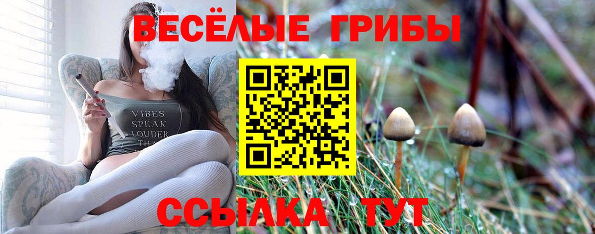 Псилоцибиновые грибы Psilocybe  Вход с VPN  Псилоцибиновые грибы ЛСД  Кропоткин 