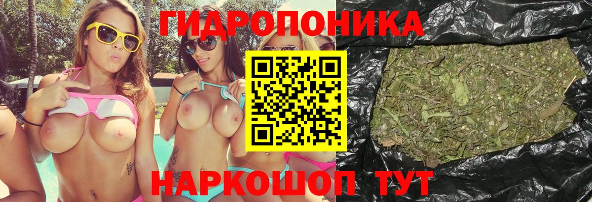 Гашиш Кропоткин